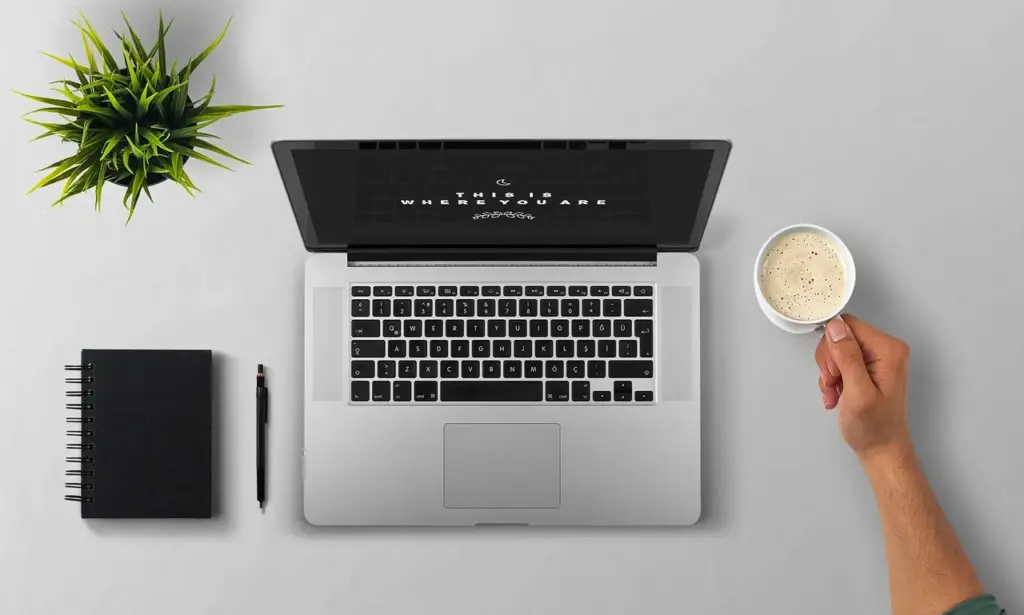 User with visual impairment using screen magnifier on laptop